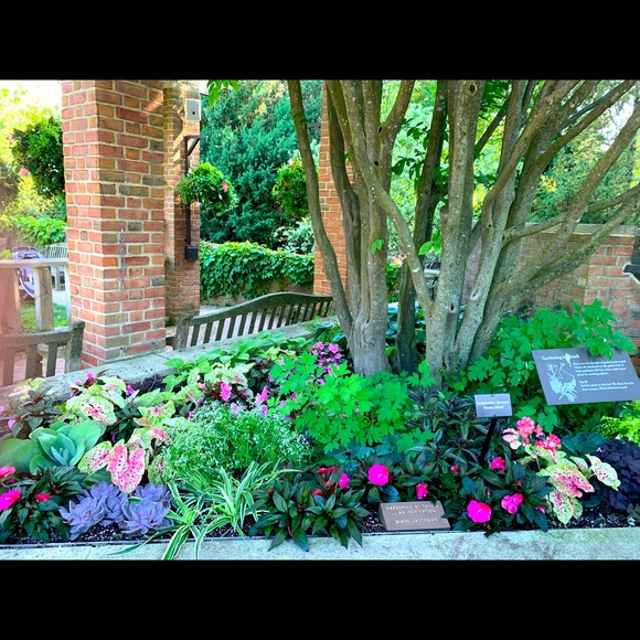 Meet your Posher, Ashley - Picture 1 of 1